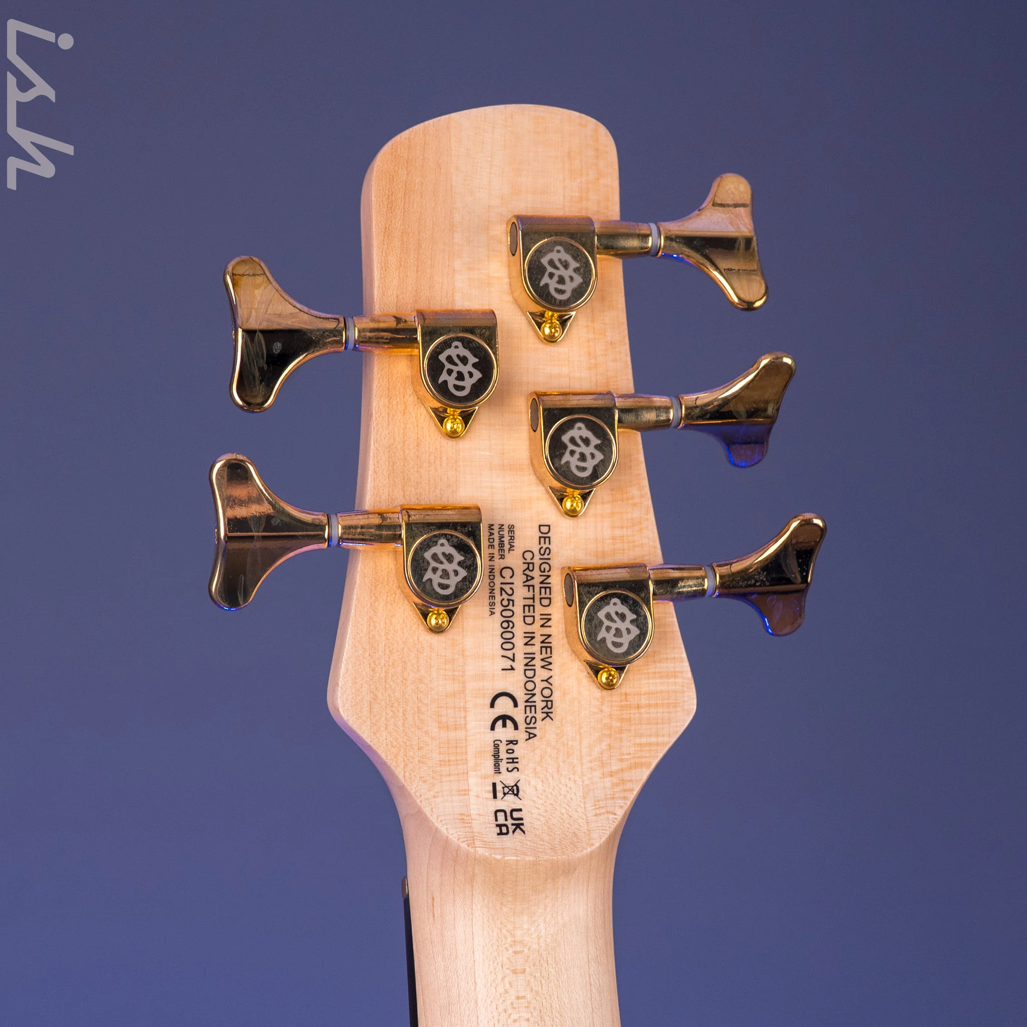 Spector ICON NS-5 Bolt-On Black Cherry Gloss - Image 11
