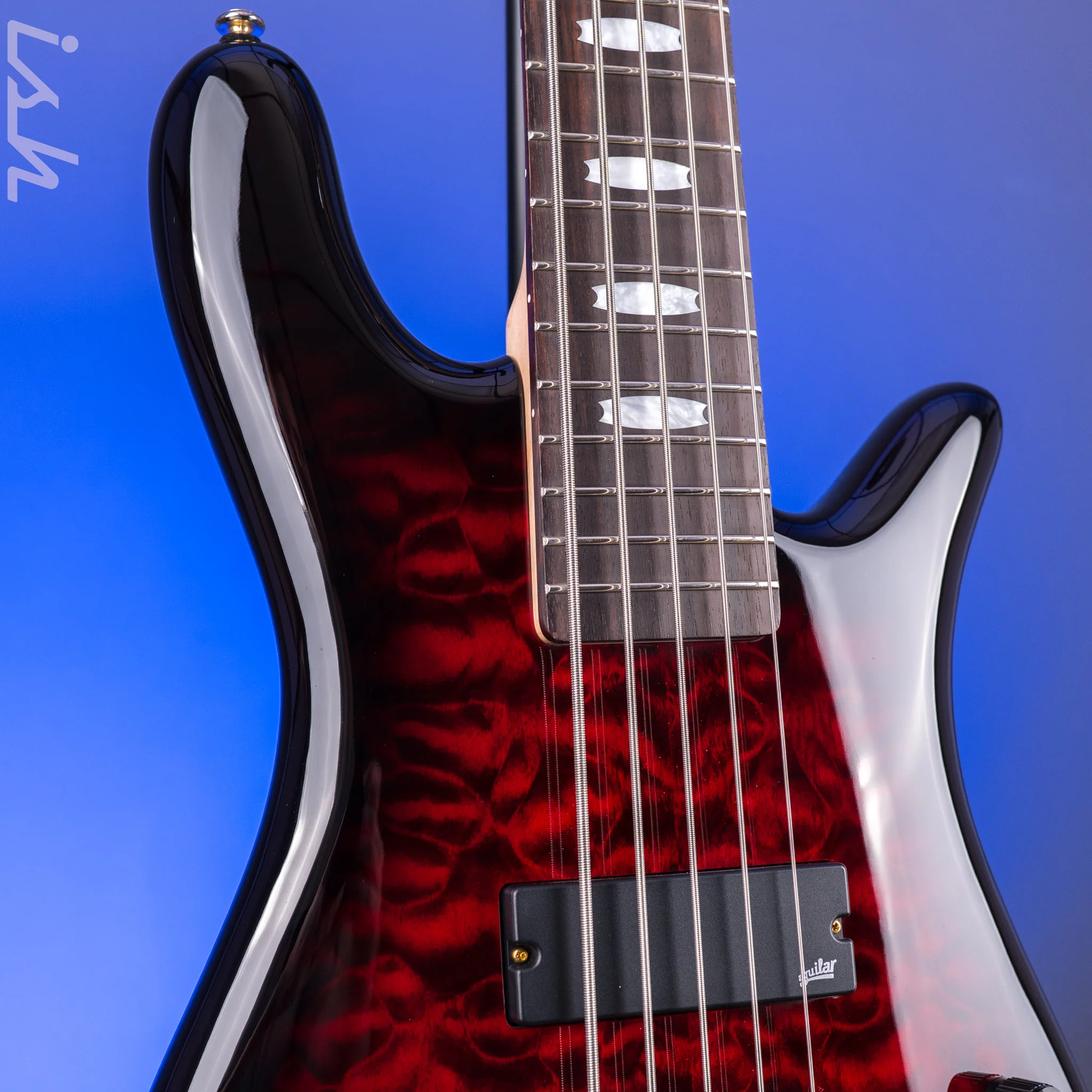 Spector ICON NS-5 Bolt-On Black Cherry Gloss - Image 4