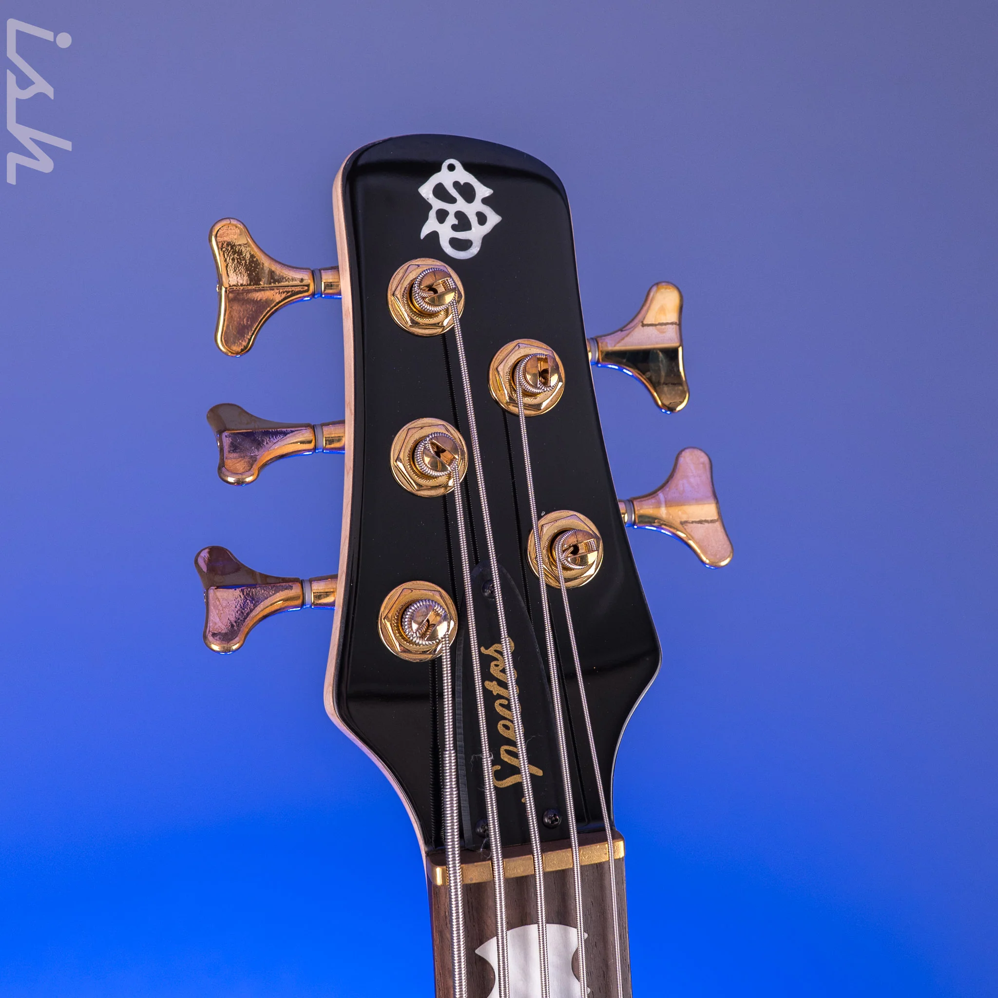 Spector ICON NS-5 Bolt-On Black Cherry Gloss - Image 6