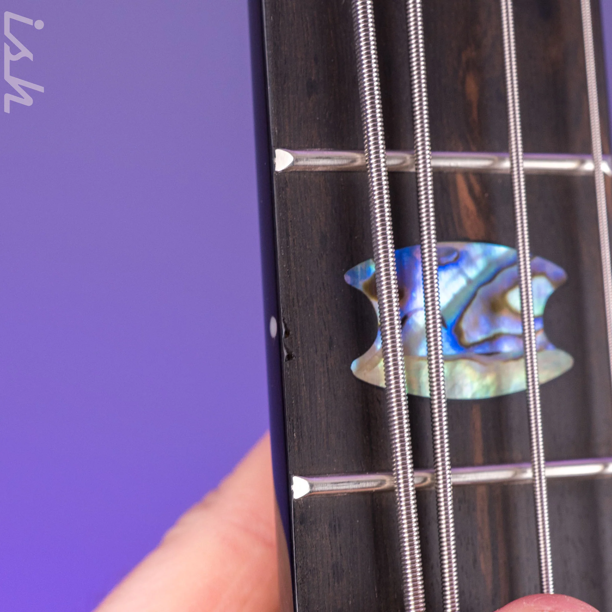 Spector X Ish 15th Anniversary Holoflash Euro Limited Edition 4-String - Image 6