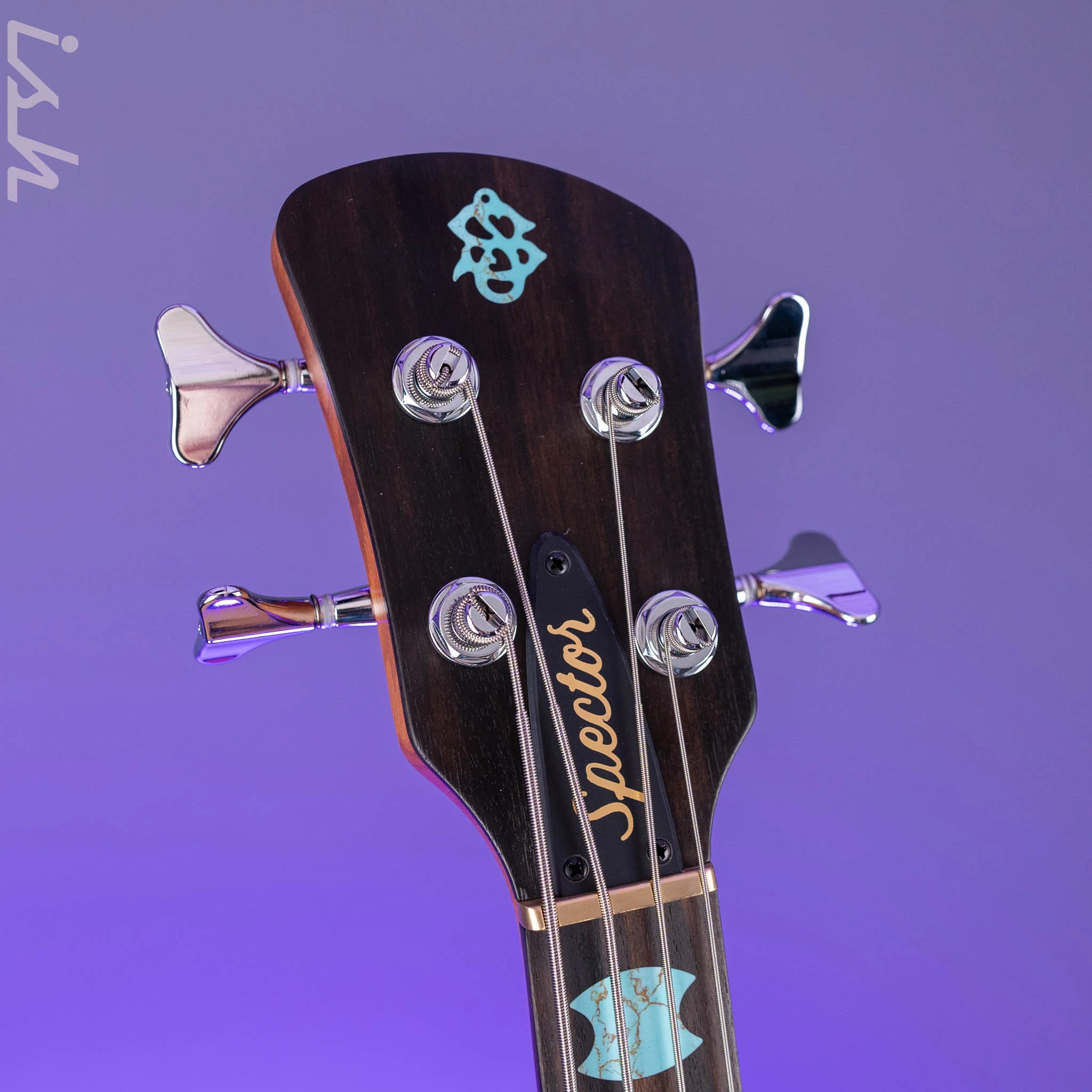 Spector USA NS-2 4-String Walnut Body Turquoise Tide - Image 5