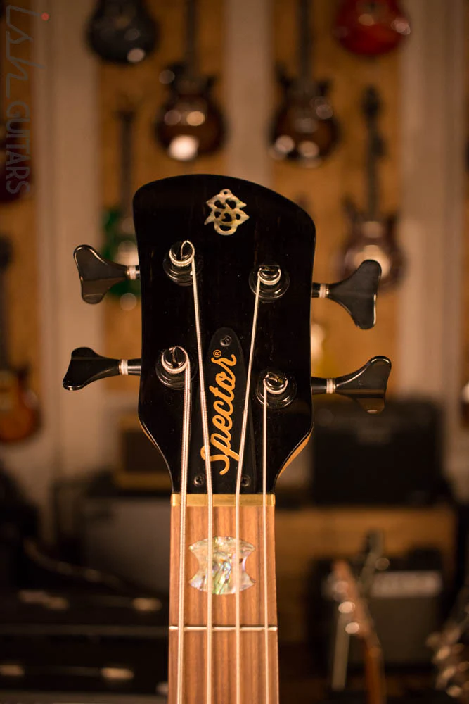 Spector NS-4 Bass Natural Spalted Maple Bass Player Live Display Aguilar - Image 5