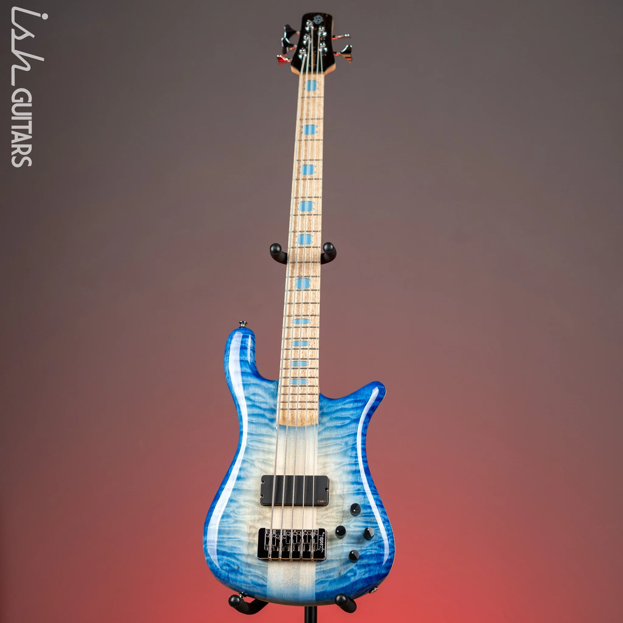 Spector NS-5 Ultra Blue Glow w/ Grain Fill Back Birdseye Maple Demo - Image 2