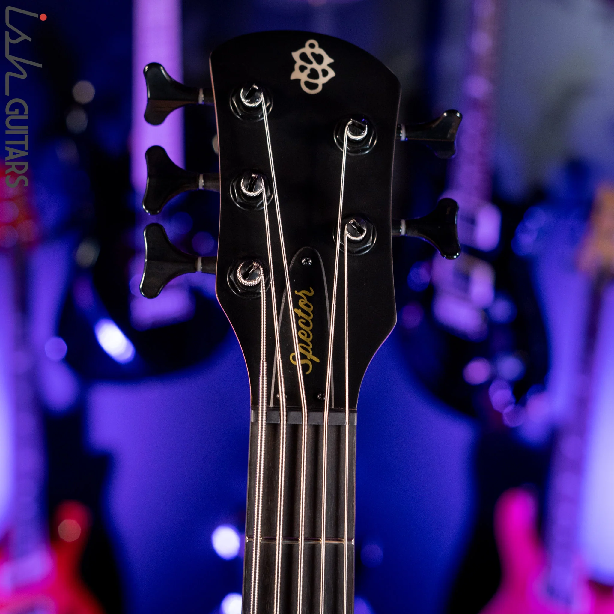 Spector NS Pulse II 5-String Bass Black Cherry Matte Demo - Image 6