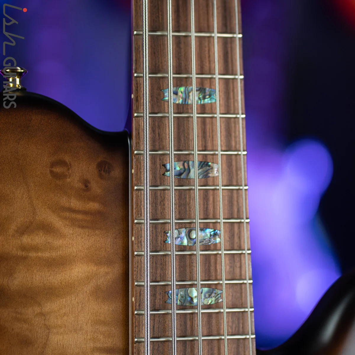 Spector Singlecut SC5 NS-5 Bass Natural Tobacco Burst Matte Flame Maple - Image 6