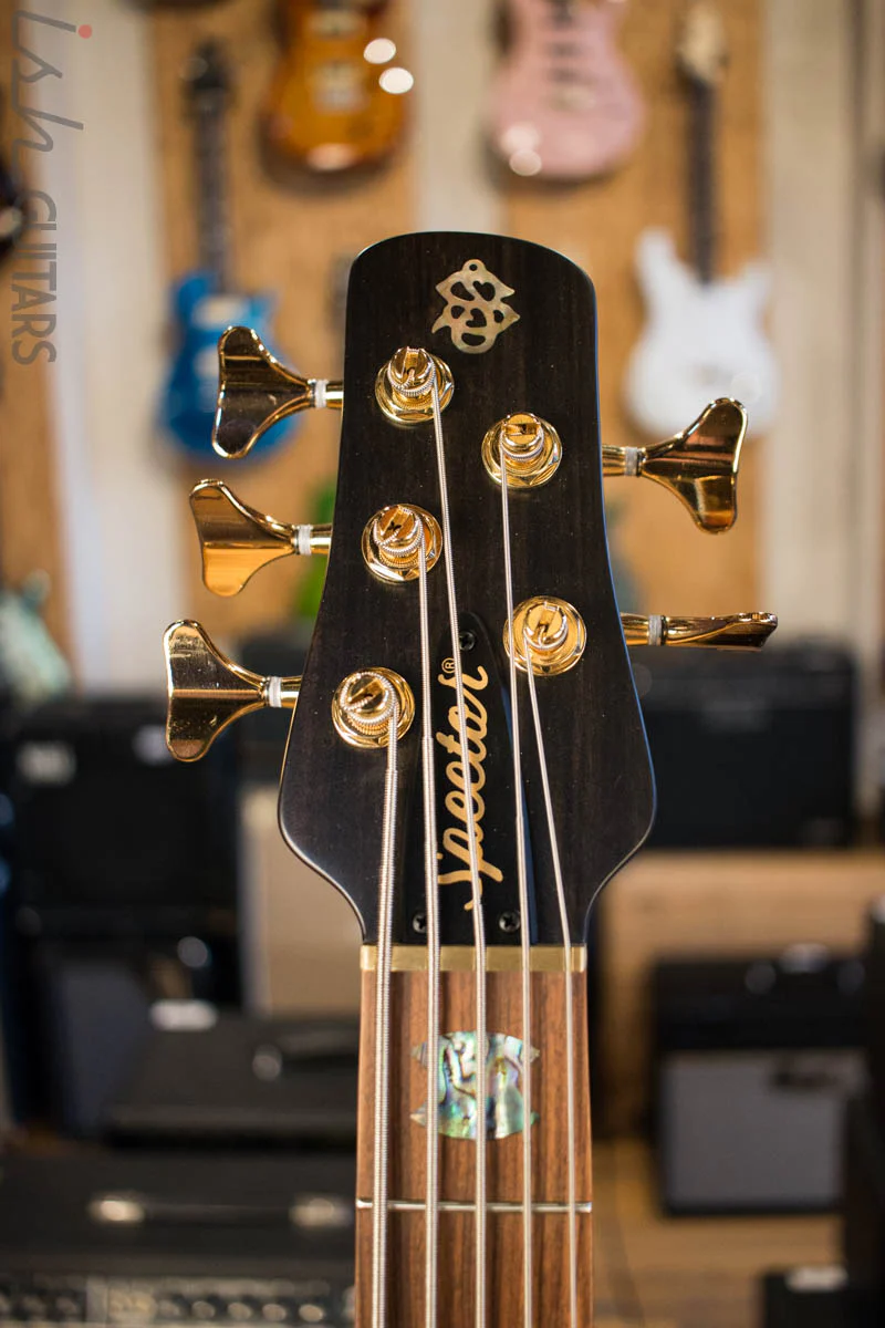 Spector Singlecut SC5 NS-5 Bass Ultra Amber Burst Matte Flame Maple - Image 5