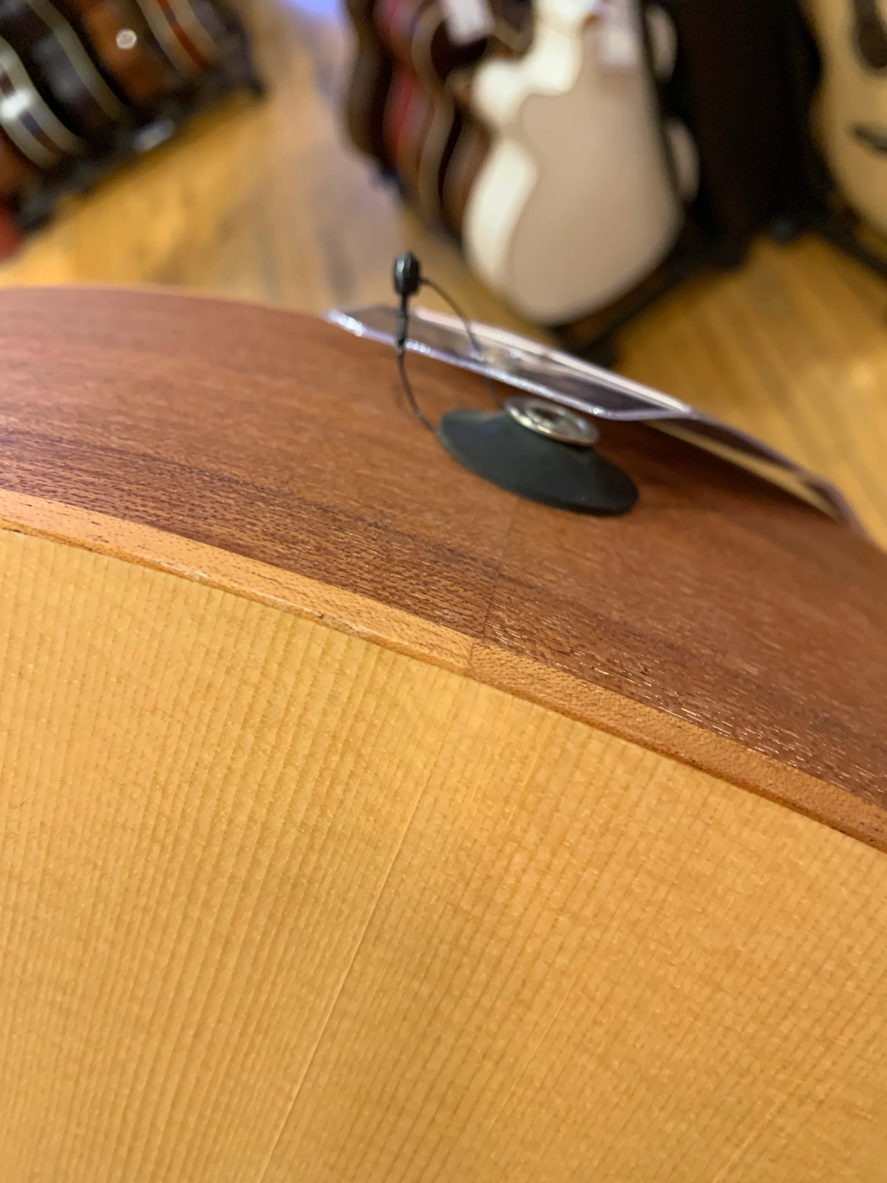 Spector Timbre 4 String Acoustic Bass Natural Finish B-Stock - Image 10