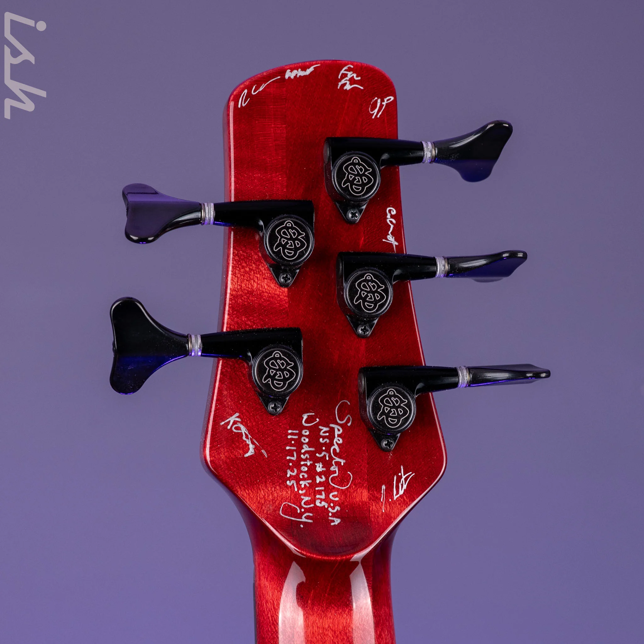 Spector USA NS-5 Fire Fade - Image 12
