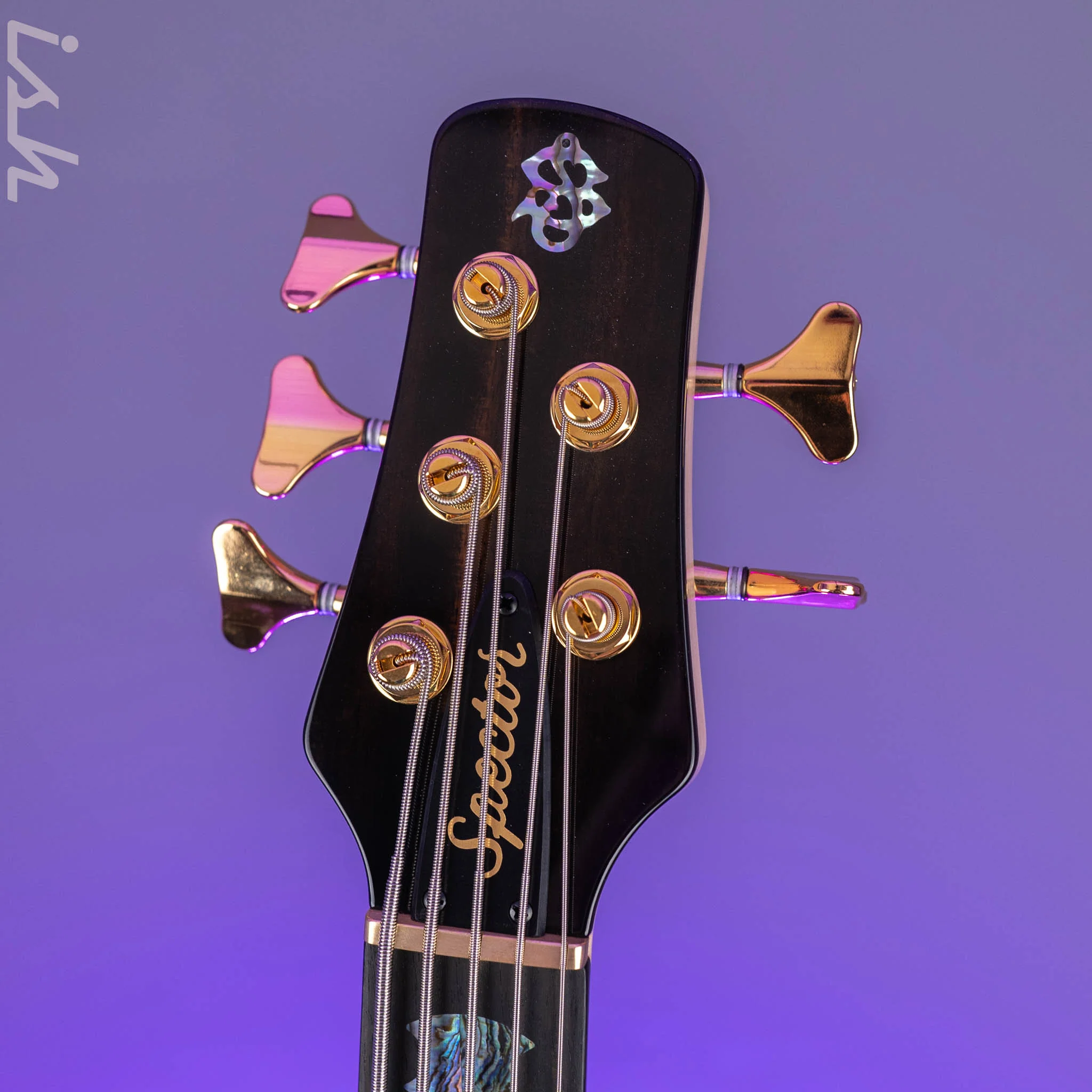 Spector USA NS-5XL 5-String Bass Natural Figured Walnut Demo - Image 5