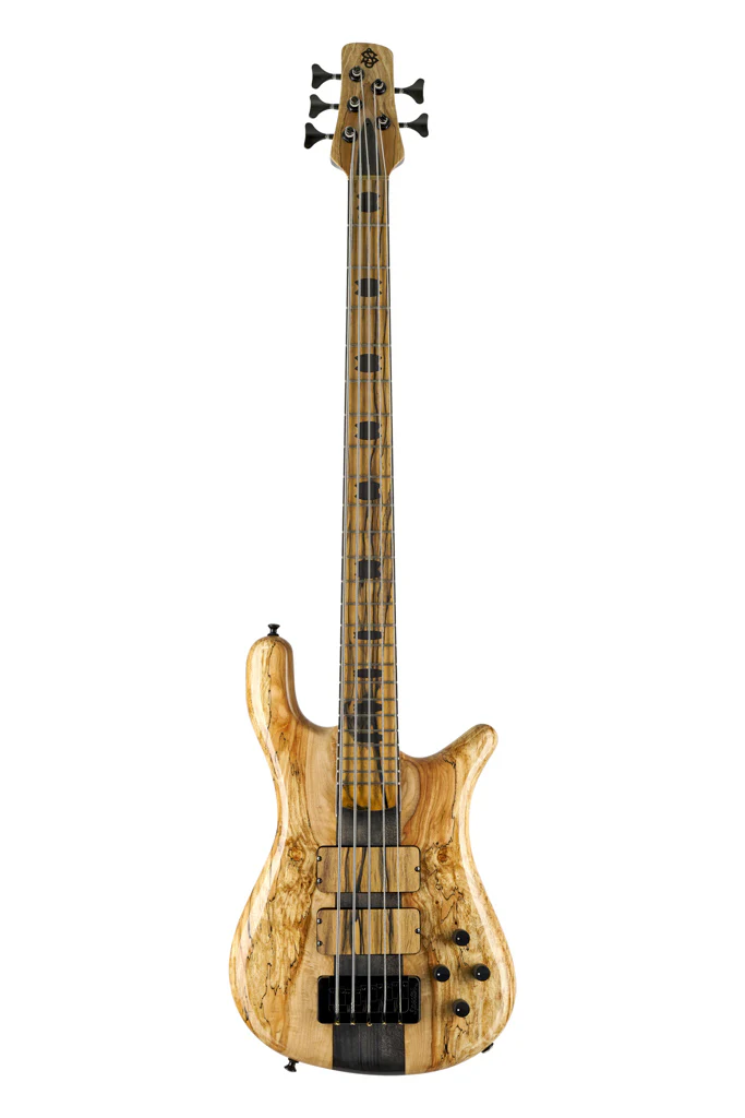 Spector USA Woodstock Custom Collection NS-5XL Rob Spalted Maple - Image 6