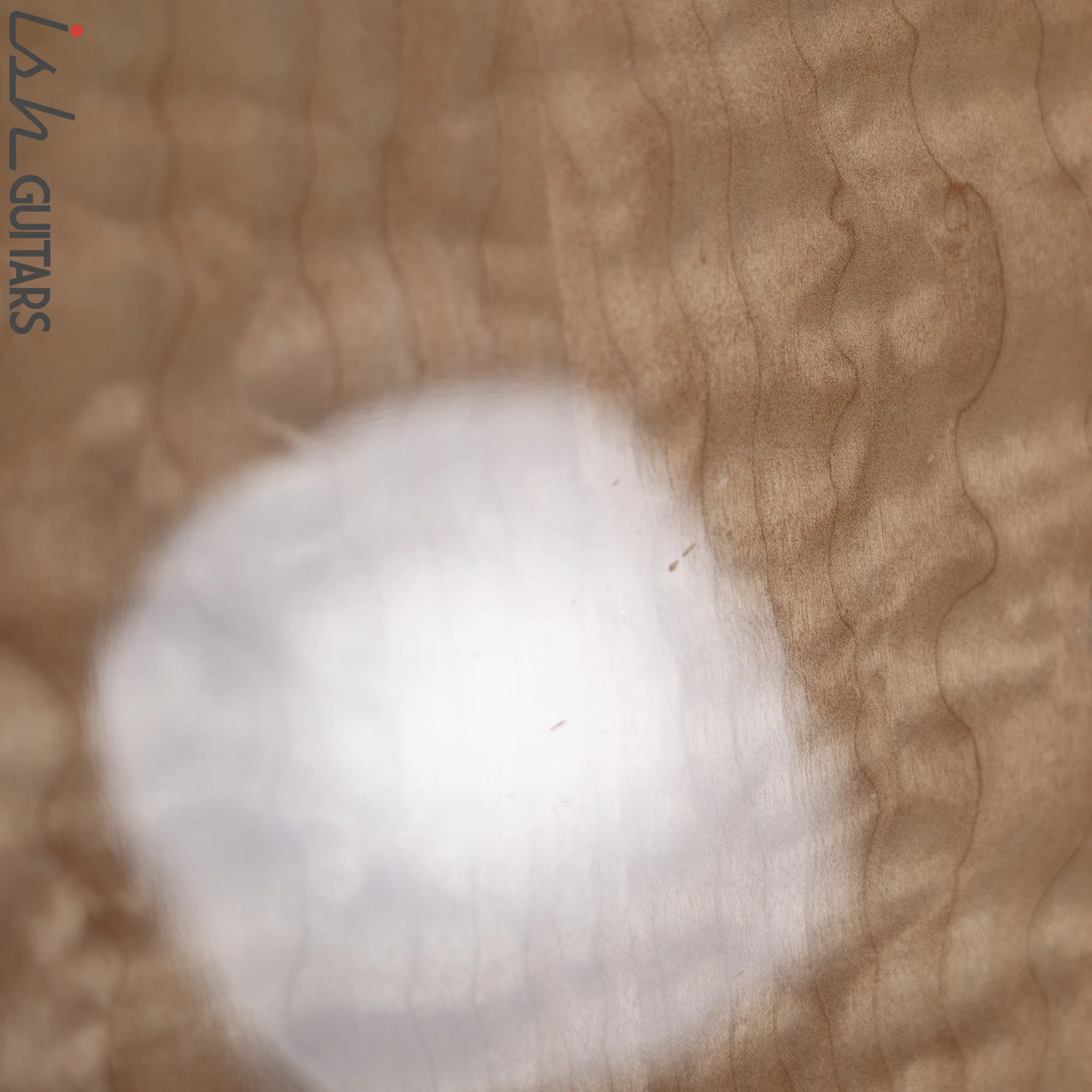 Tacoma JF 21 Natural Flame Maple - Image 15