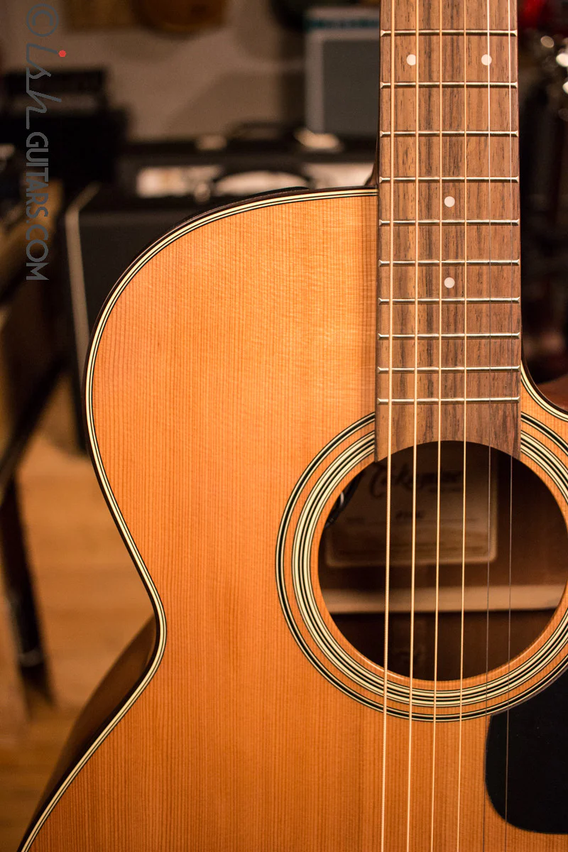 Takamine P1NC Acoustic Guitar - Image 3