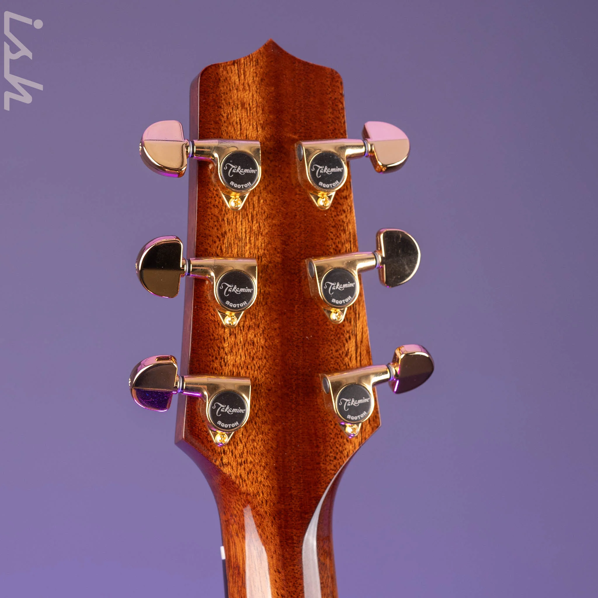 Takamine P5DC-WB Dreadnought Acoustic-Electric Guitar Demo - Image 12