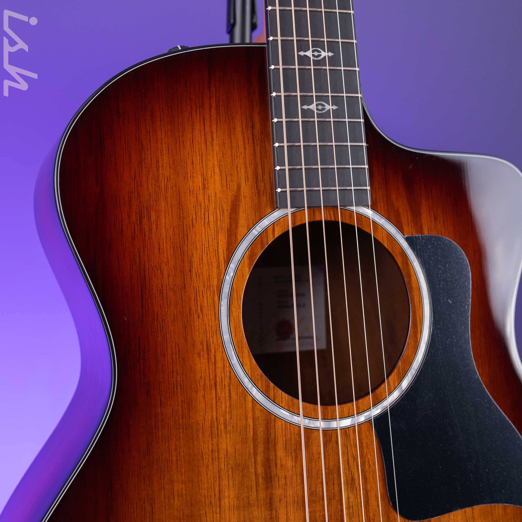 Taylor 224ce-K DLX Grand Auditorium Acoustic-Electric Guitar - Image 3
