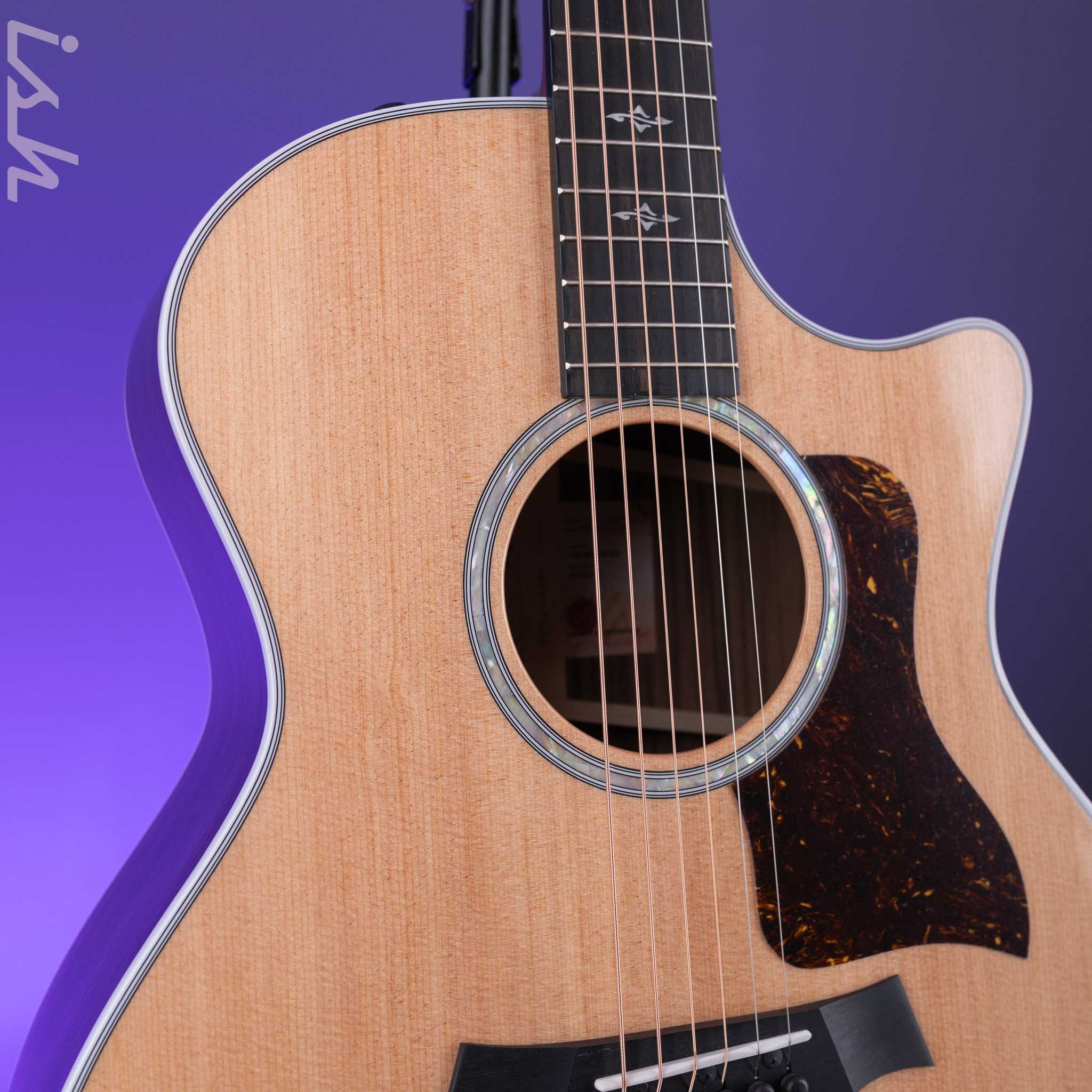 Taylor 414ce-R Grand Auditorium Acoustic-Electric Guitar Demo - Image 3