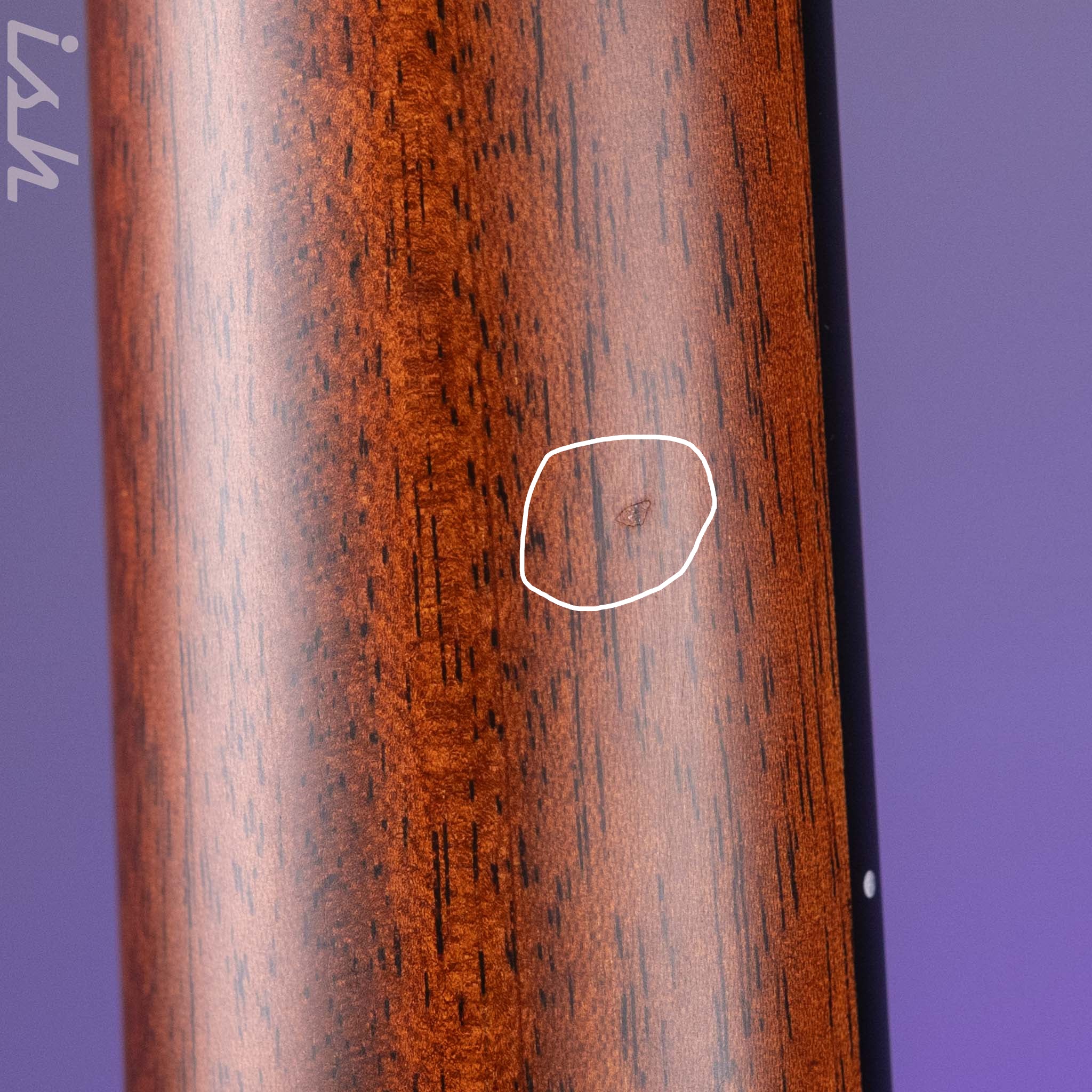 Taylor 414ce-R Grand Auditorium Acoustic-Electric Guitar Demo - Image 6