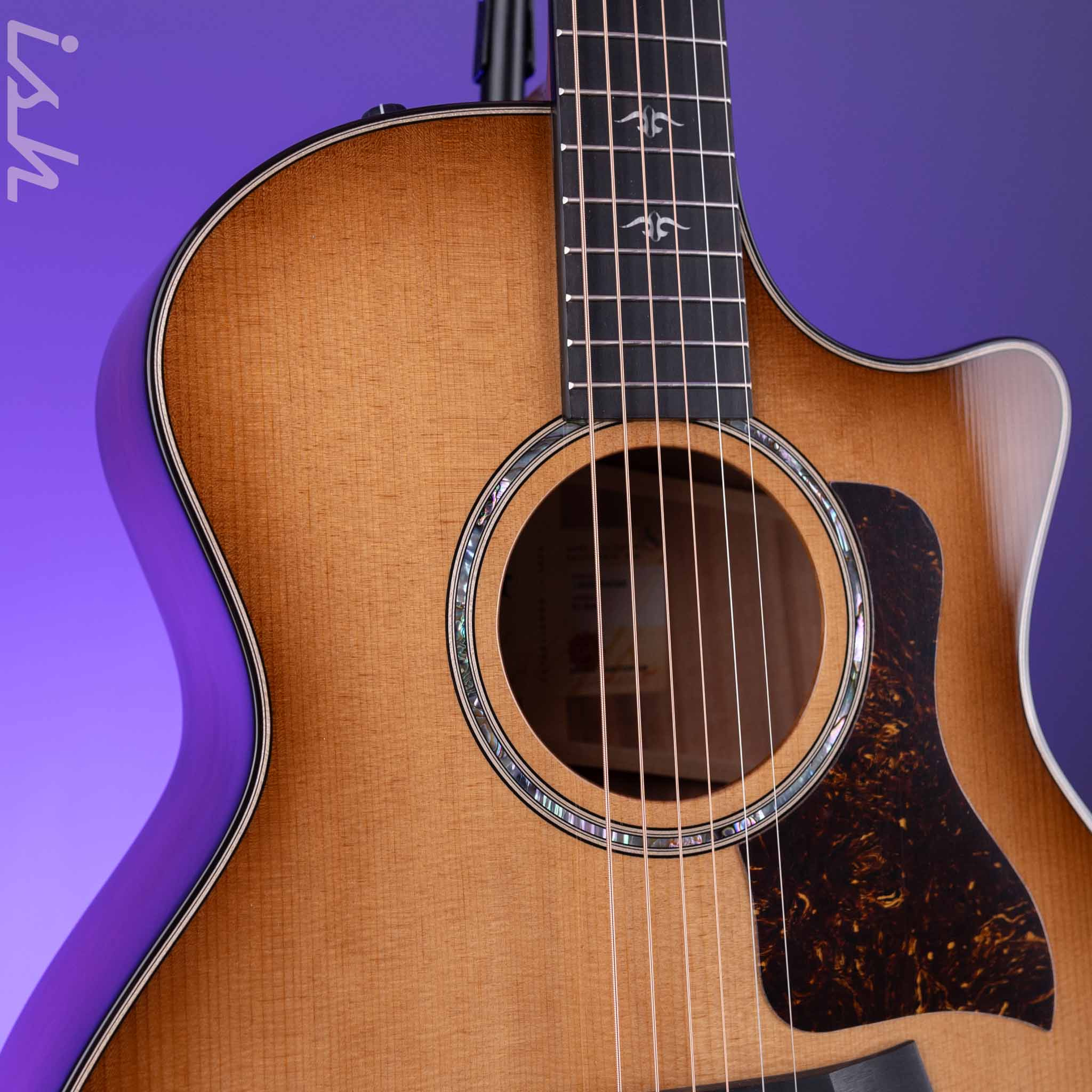 Taylor 514ce Urban Ironbark Grand Auditorium Acoustic-Electric Guitar - Image 3