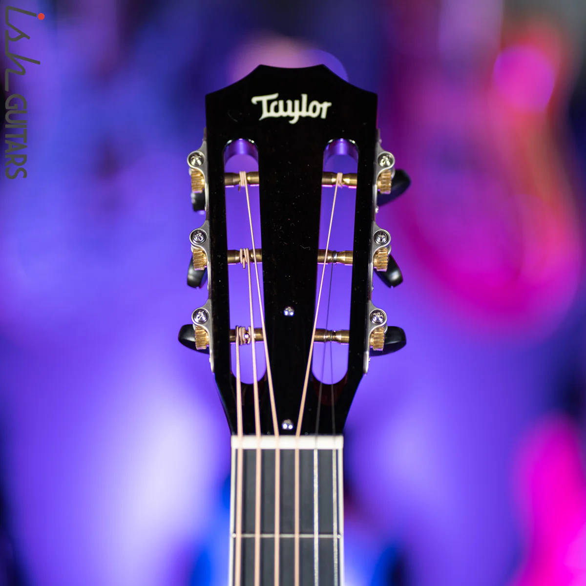 2019 Taylor BTO Custom Shop Grand Concert 12 Fret Florentine Torrefied Spruce Myrtlewood - Image 6