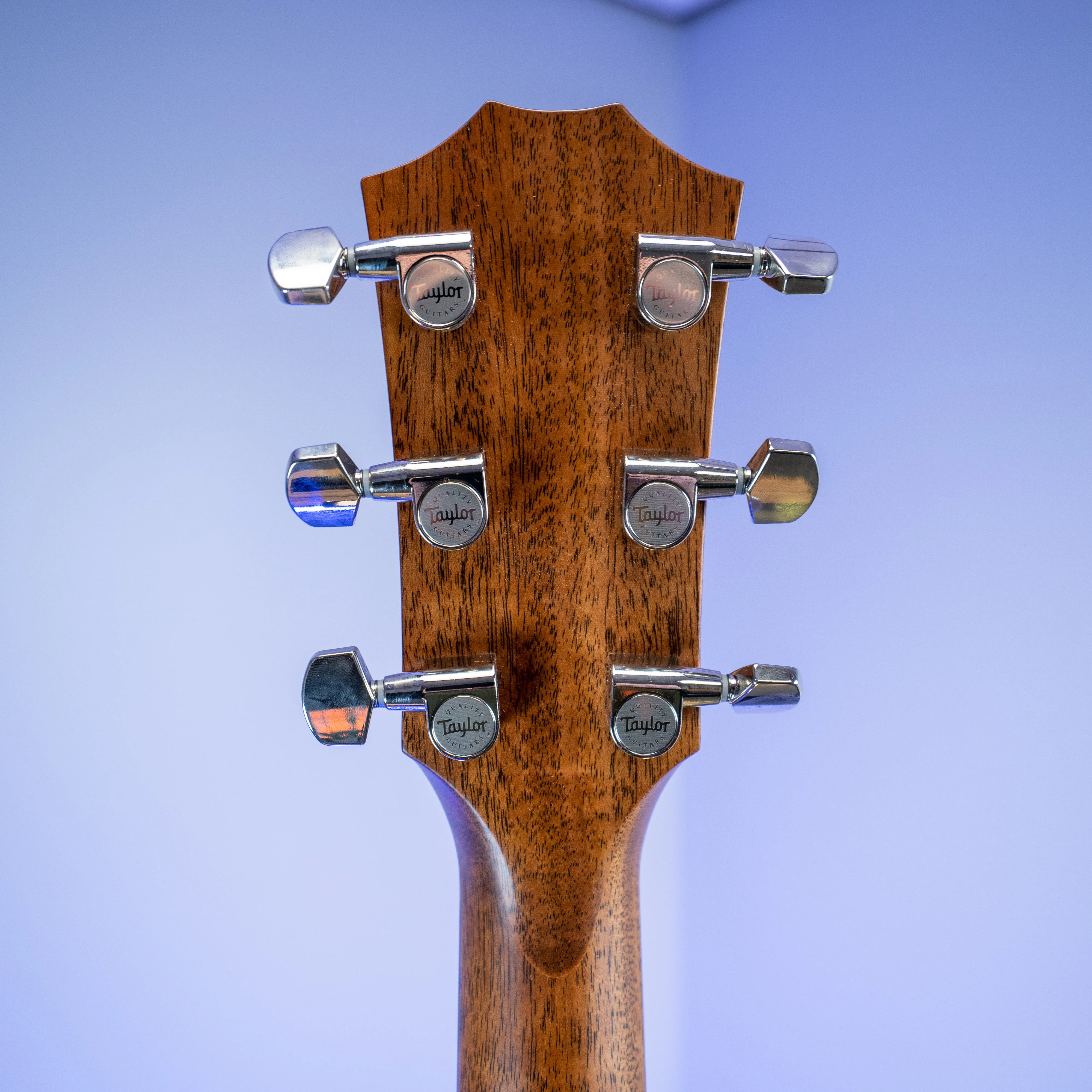 Taylor E14ce LTD Grand Auditorium Spruce/ Striped Ebony - Image 14