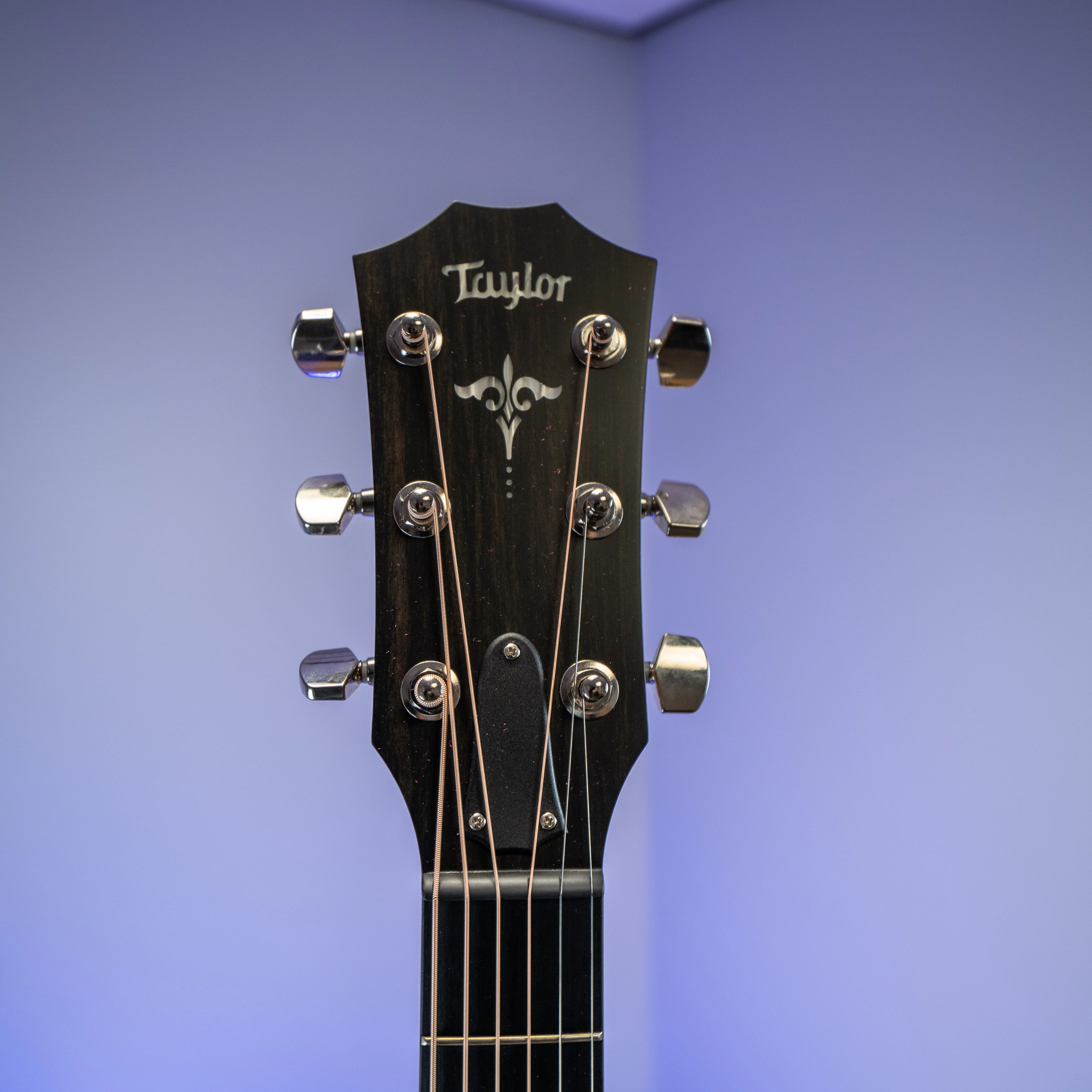 Taylor E14ce LTD Grand Auditorium Spruce/ Striped Ebony - Image 8