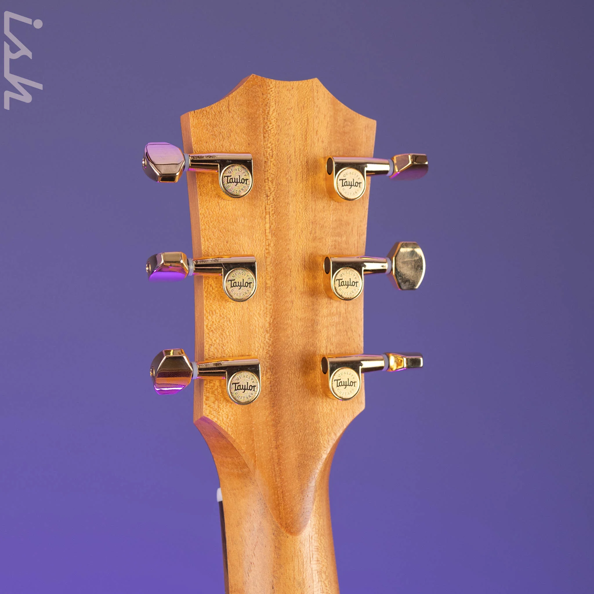 Taylor GS Mini-e Rosewood LTD 50th Anniversary Natural - Image 10