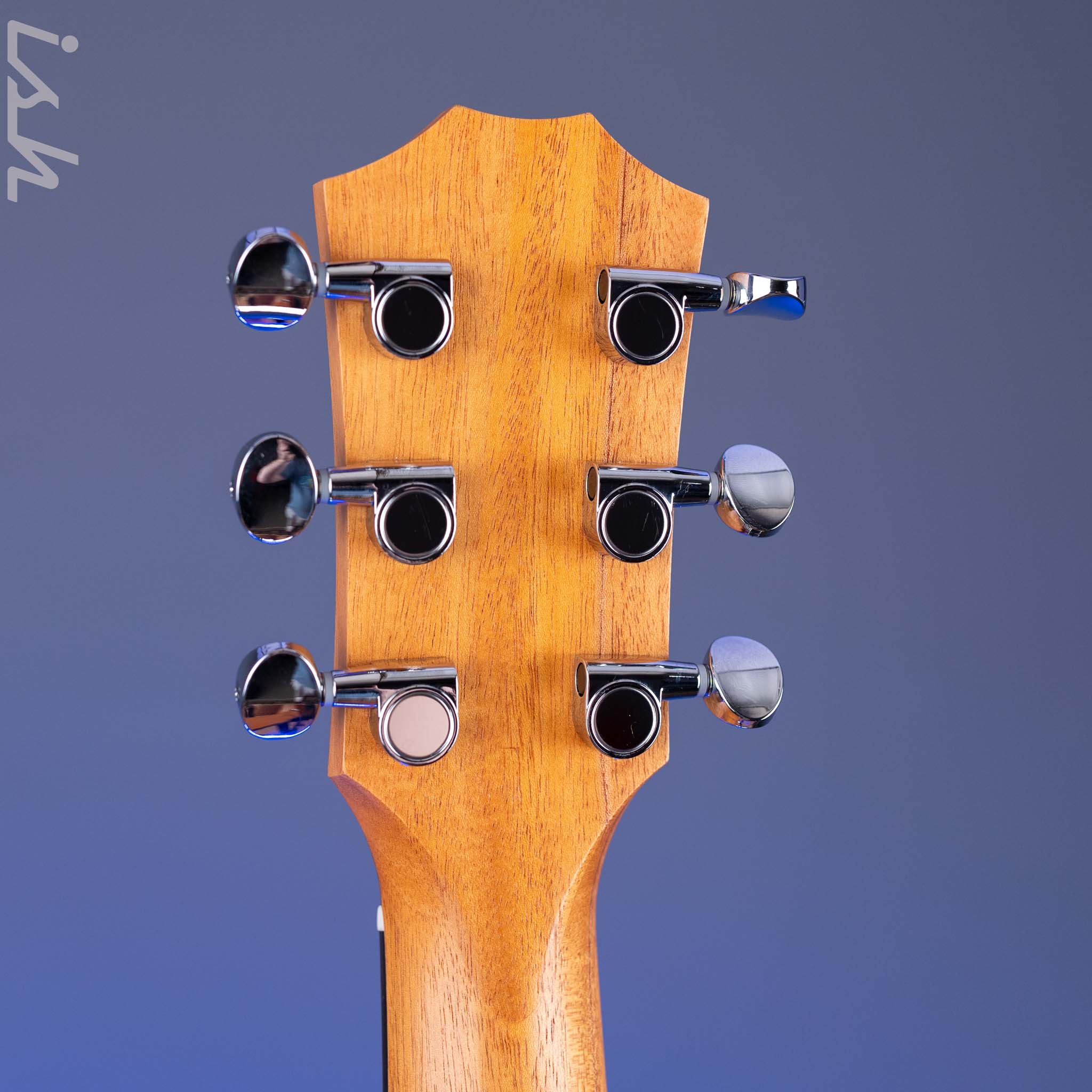 Taylor GS Mini-e Special Edition Year of the Dragon - Image 10