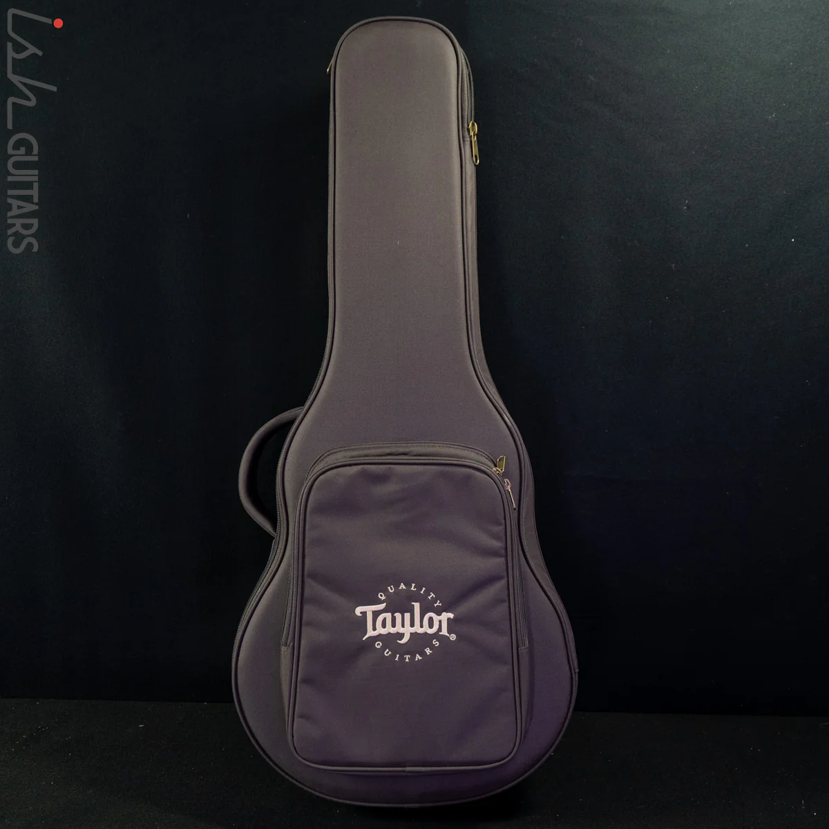 Taylor GTe Urban Ash/Spruce - Image 12