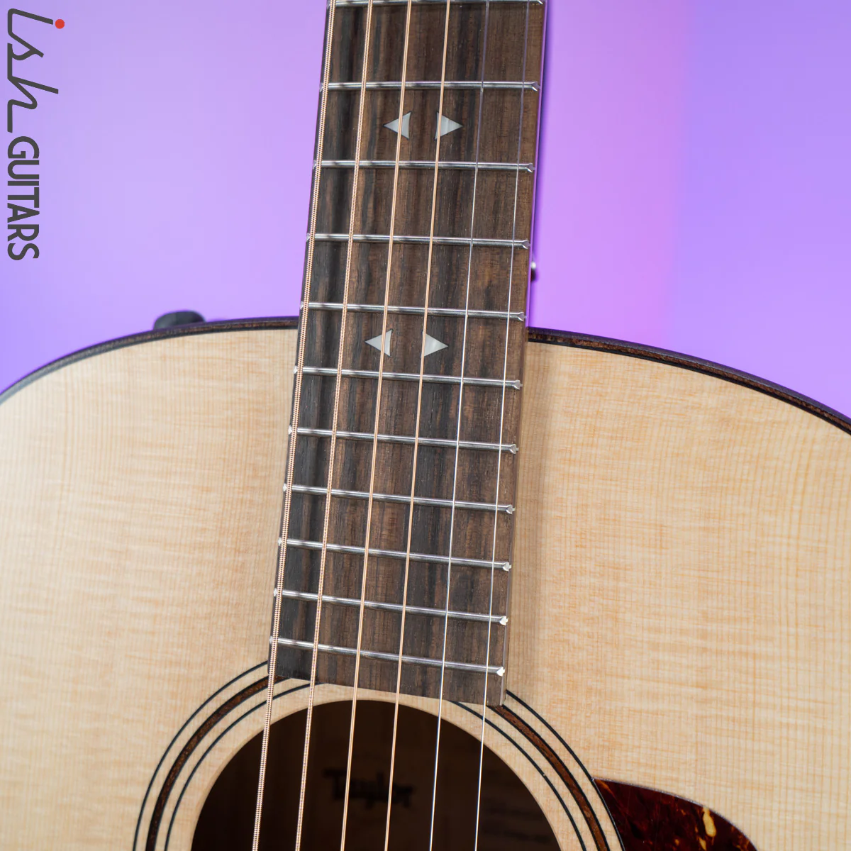Taylor GTe Urban Ash/Spruce - Image 6