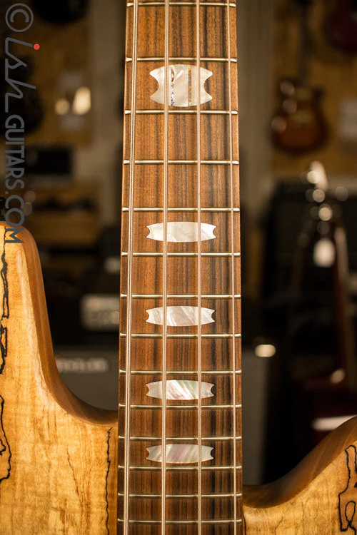 USA Spector NS-4H2 Spalted Maple - Image 5