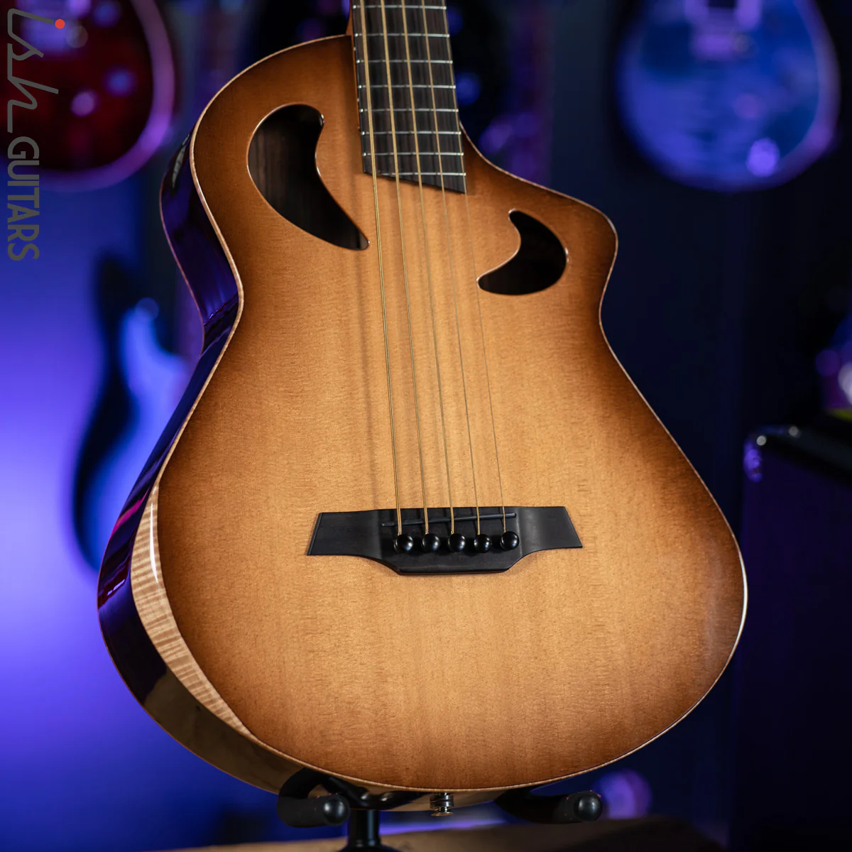 Veillette Acoustic 5 String Bass Guitar Brazilian Rosewood Tobacco Sunburst
