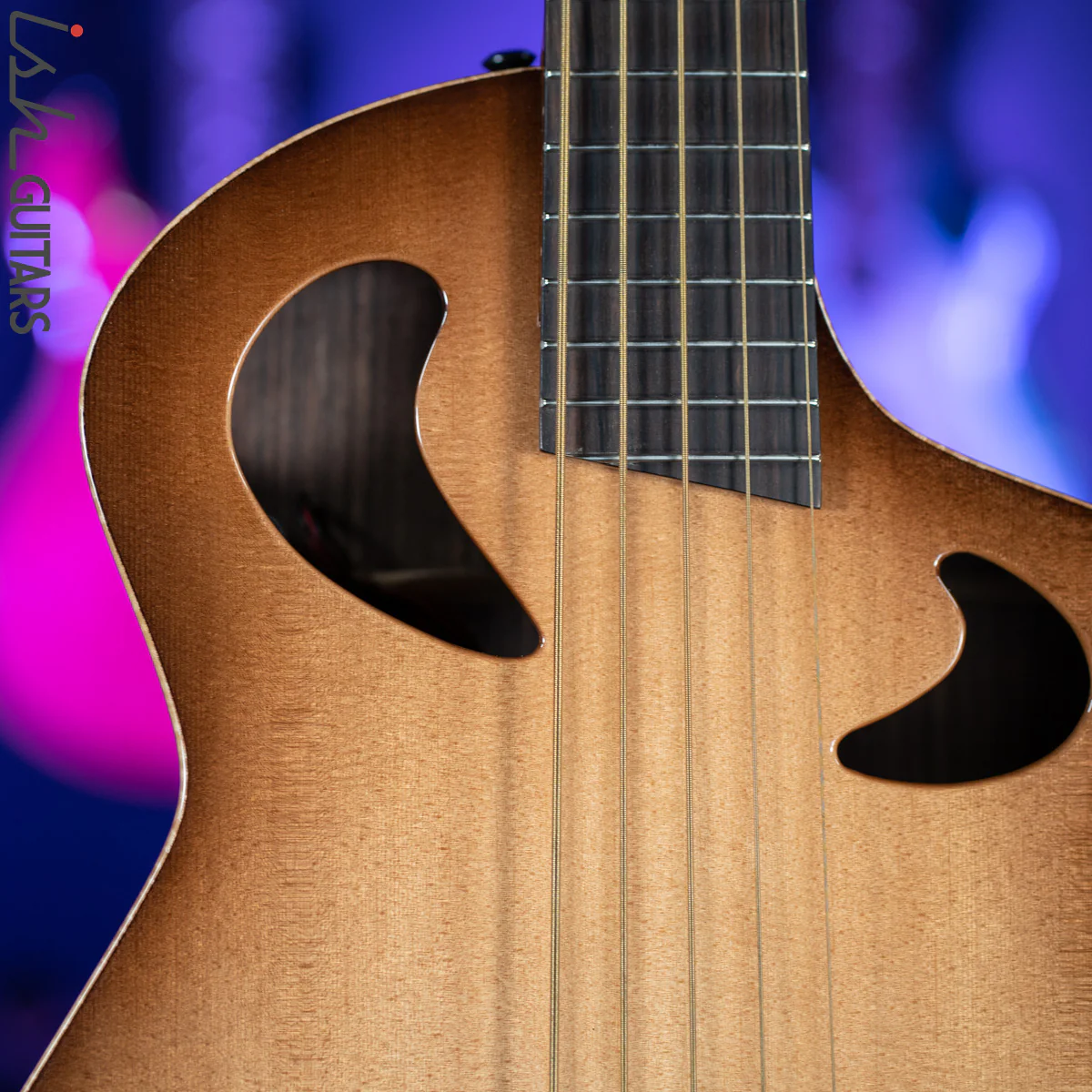 Veillette Acoustic 5 String Bass Guitar Brazilian Rosewood Tobacco Sunburst - Image 5