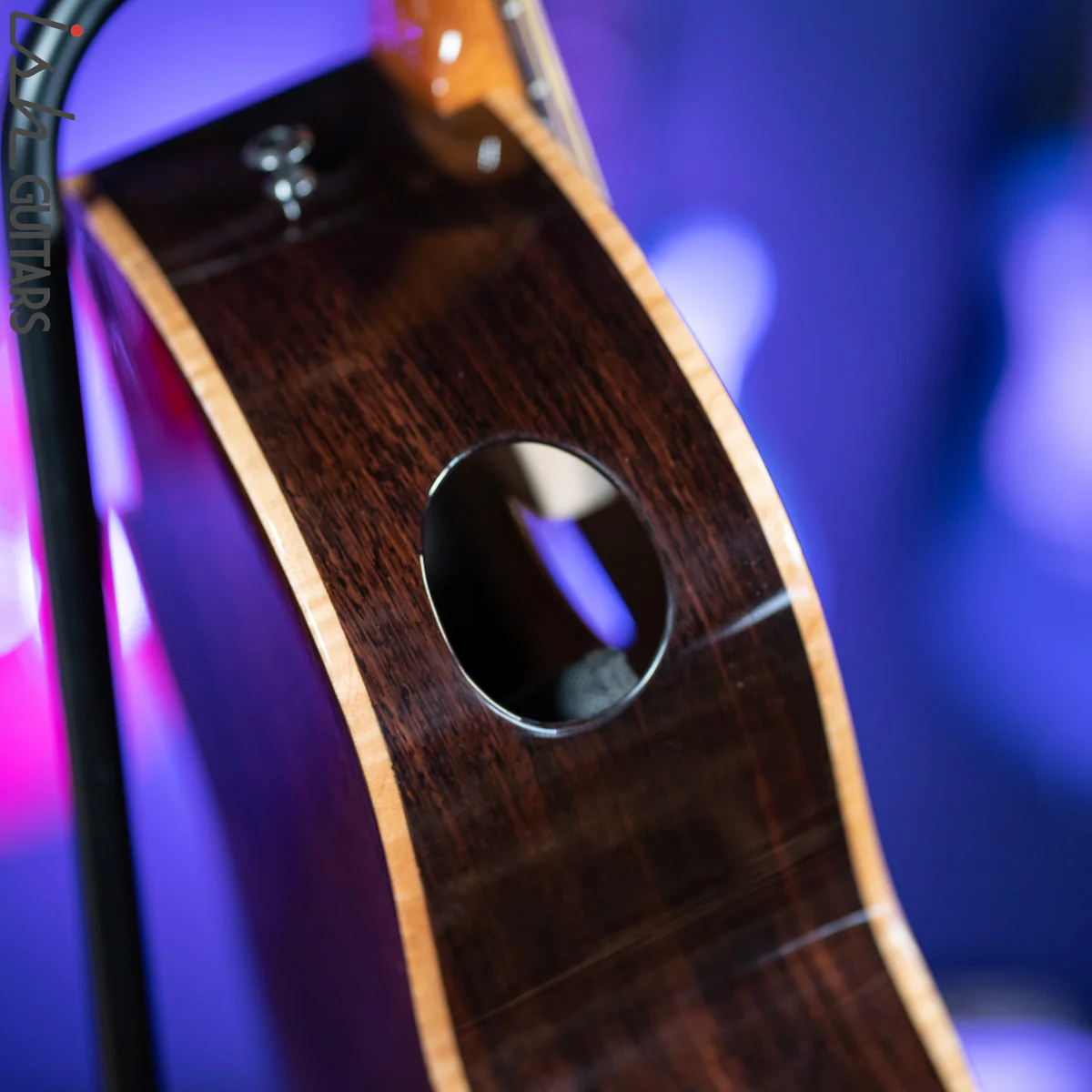 Veillette Acoustic 5 String Bass Guitar Brazilian Rosewood Tobacco Sunburst - Image 9