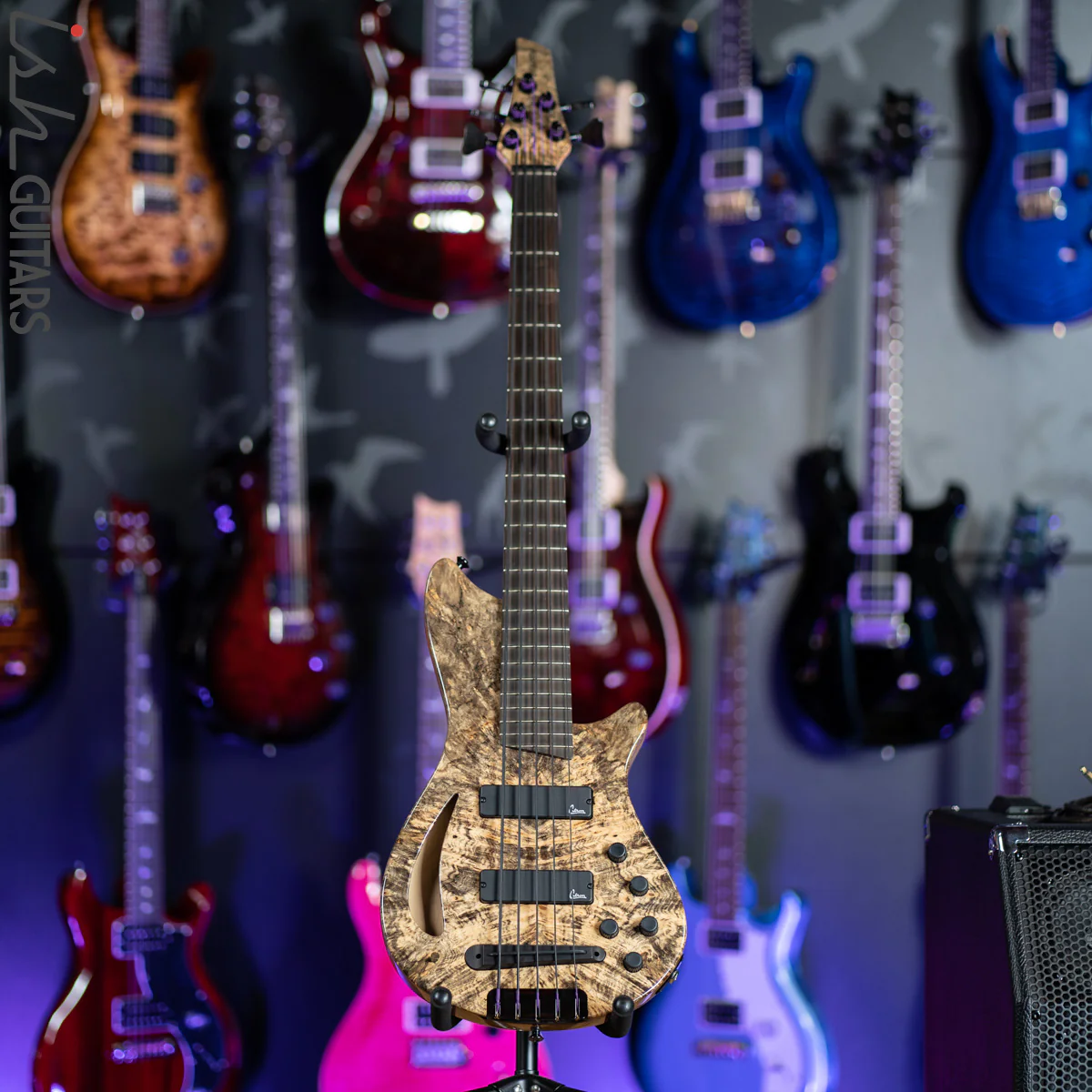 Veillette Singlecut 5 Custom Semi Hollow Buckeye Burl - Image 2