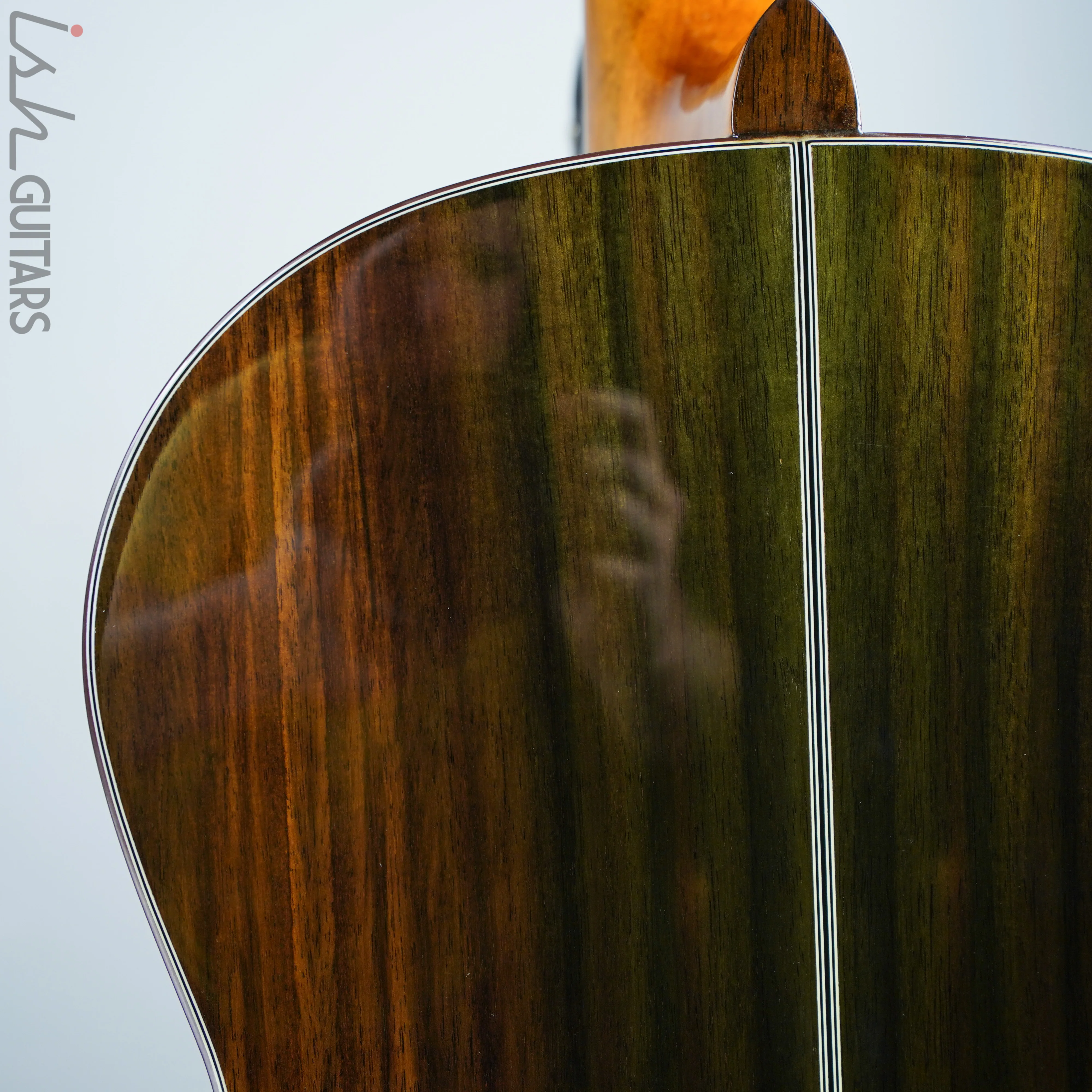 Walden Concorda CN630 Classical w/ Case Used - Image 9