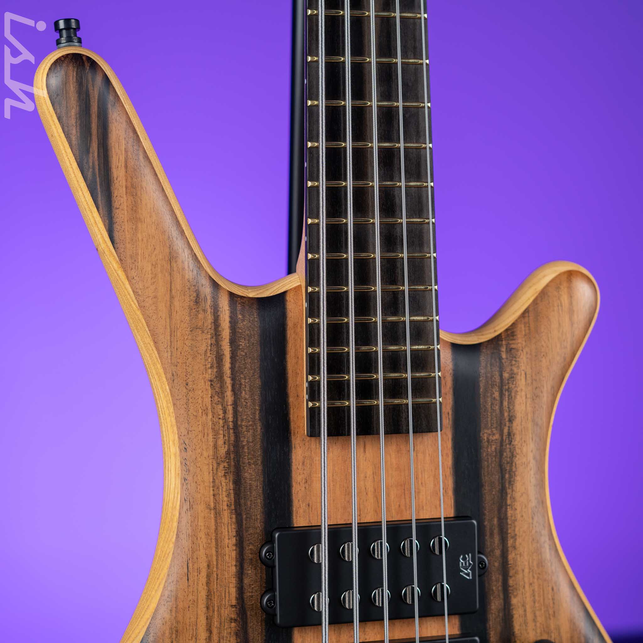 Warwick Teambuilt Corvette $$ Bolt-On Limited Edition 5-String Bolt-On Bass Natural Oil Finish - Image 3
