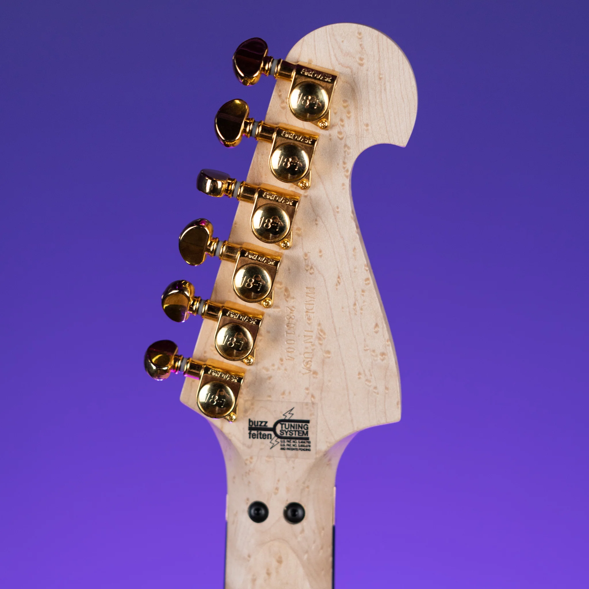 Washburn Limited Edition Nuno Bettencourt Signature Series N4 Walnut - Image 12