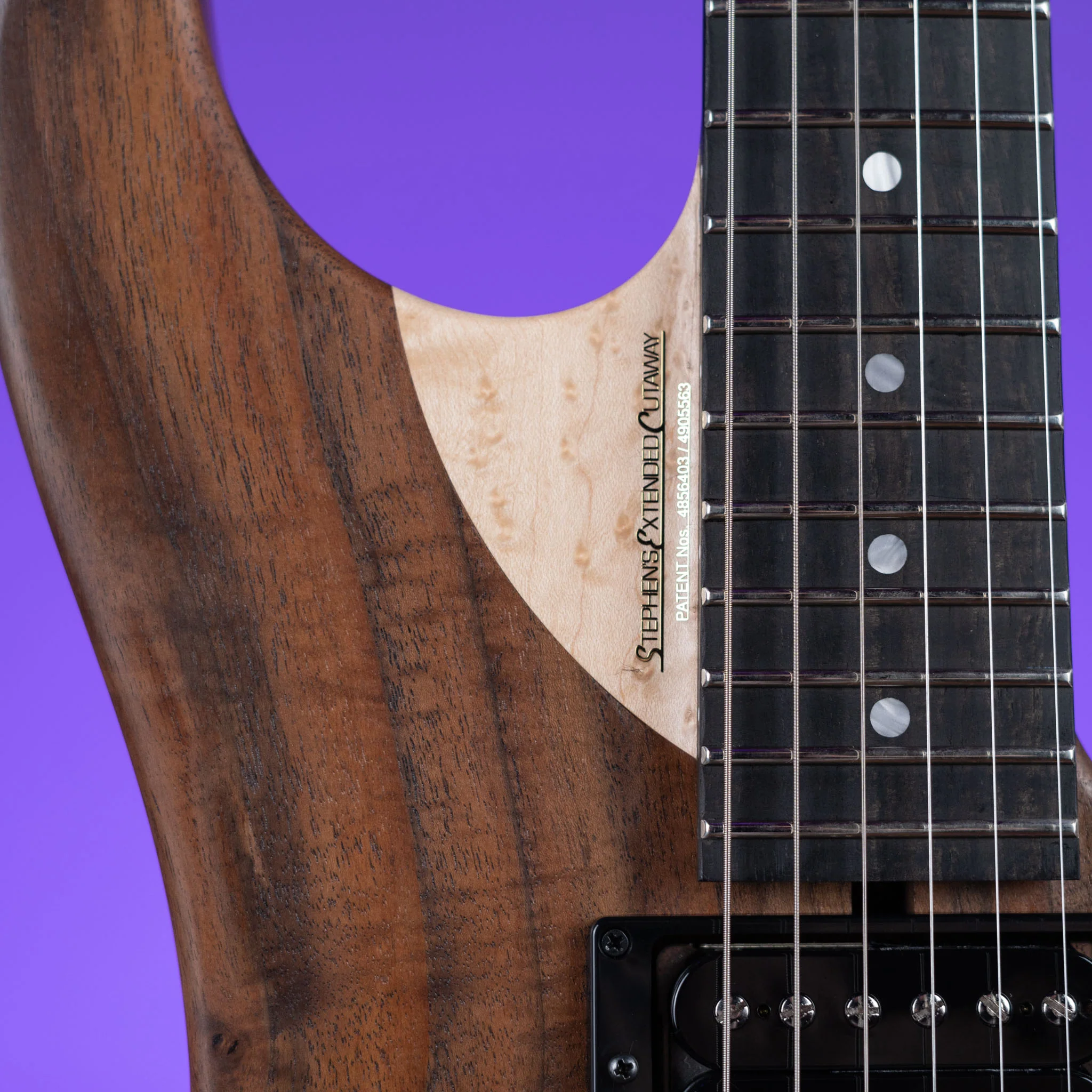 Washburn Limited Edition Nuno Bettencourt Signature Series N4 Walnut - Image 5