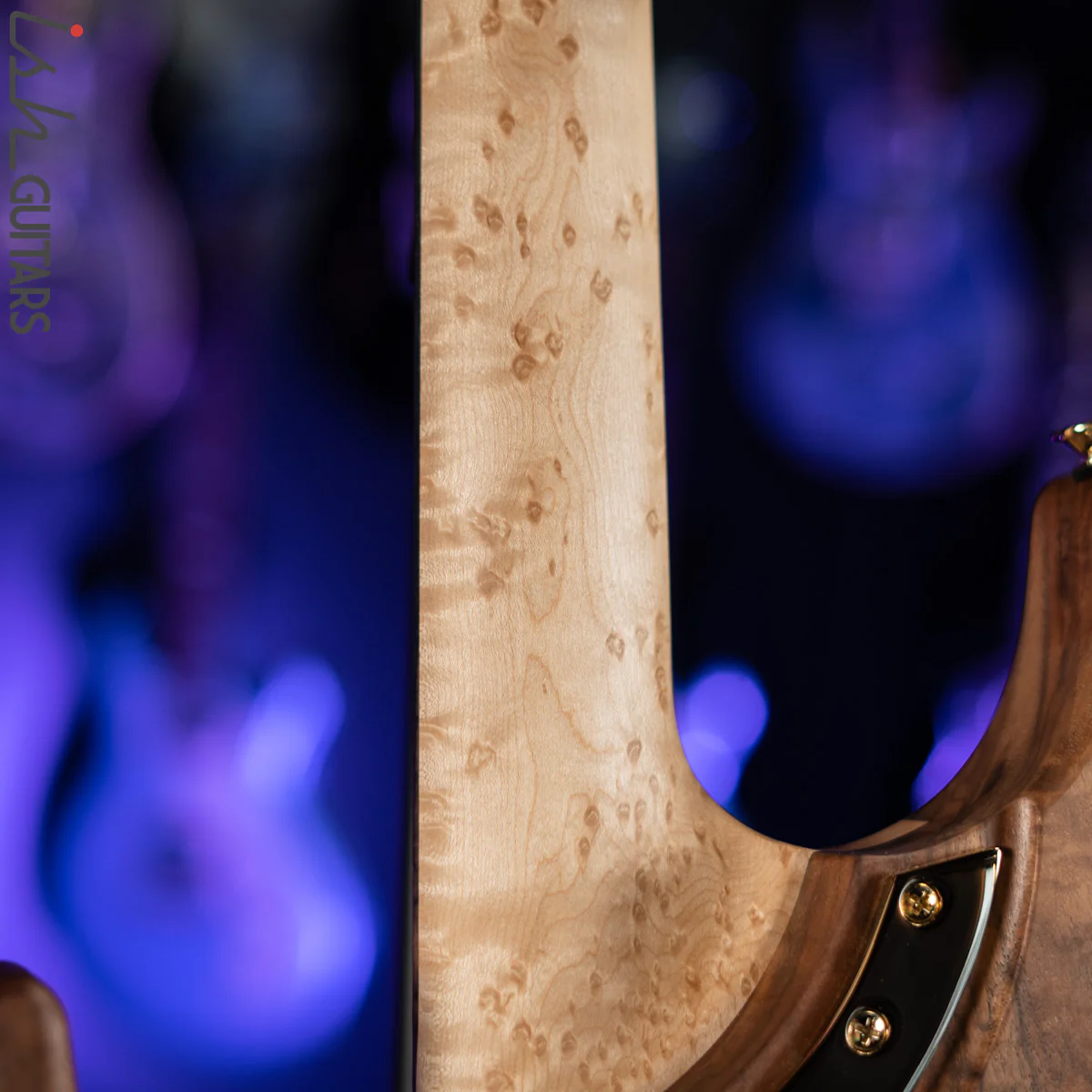 Washburn Limited Edition Nuno Bettencourt Signature Series N4 Walnut - Image 12